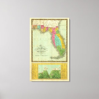 Lienzo Mapa de Florida 2