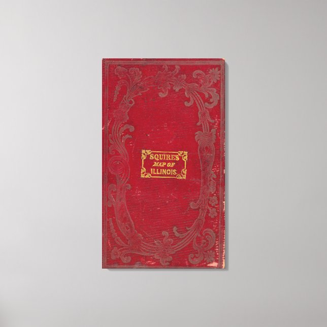 Lienzo Mapa de Illinois 2 (Anverso)