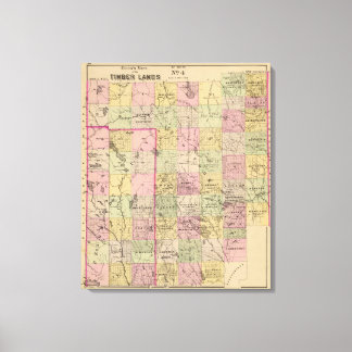 Lienzo Mapa de las tierras de la madera 4