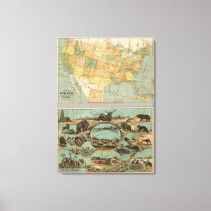 Lienzo Mapa de los Estados Unidos de América 3