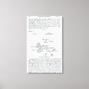 Lienzo Mapa del archipiélago de las Islas Galápagos, 1844