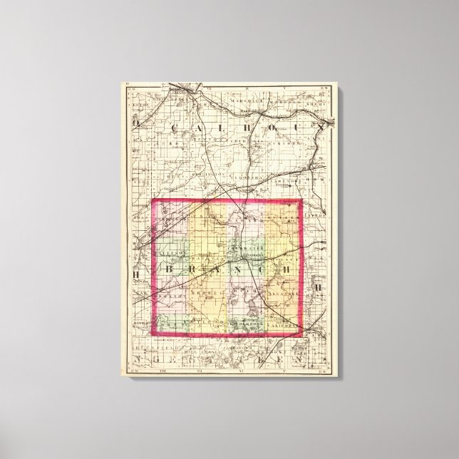 Lienzo Mapa del condado de Branch, Michigan (Anverso)