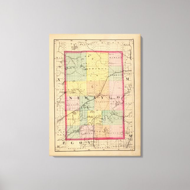 Lienzo Mapa del condado de Newaygo, Michigan (Anverso)
