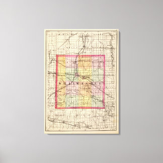 Lienzo Mapa del condado de Shiawassee, Michigan