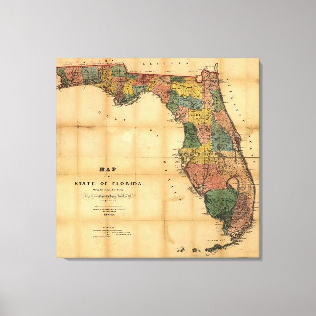 Lienzo Mapa del estado de Florida de 1856 de Columbus Dre (Anverso)