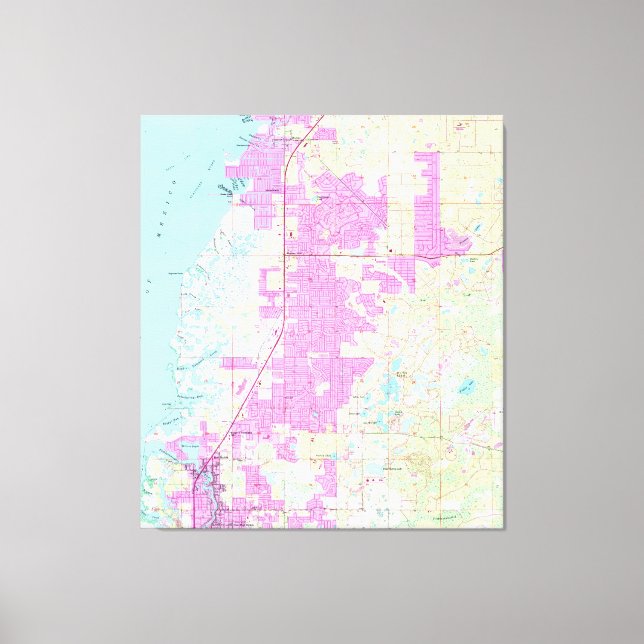 Lienzo Mapa Port Richey y New Port Richey Florida (1954) (Anverso)