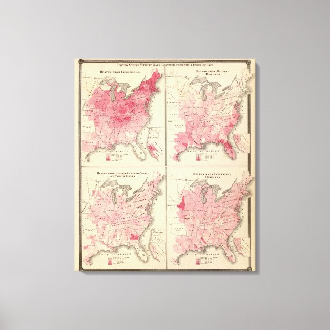 Lienzo Mapas de vitalidad de Estados Unidos (Anverso)