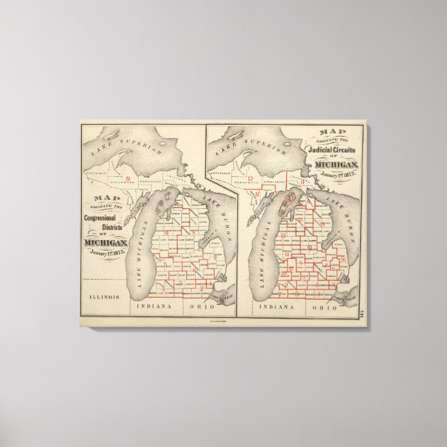 Lienzo Mapas mostrando los distritos electorales (Anverso)