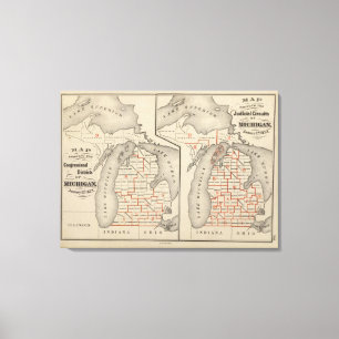 Lienzo Mapas mostrando los distritos electorales