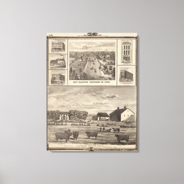 Lienzo Maple Grove Herd, Cedar Co New Hampton (Anverso)