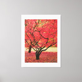 Lienzo Maple Trees Canvas Print