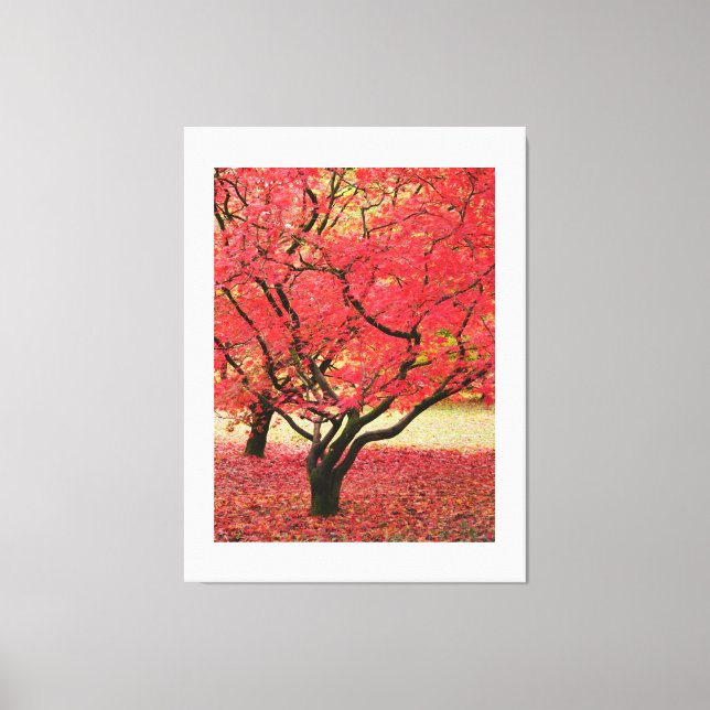 Lienzo Maple Trees Canvas Print (Anverso)