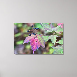 Lienzo Mapleleaf Viburnum hojas de otoño y bayas