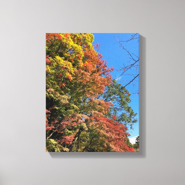 Lienzo Maples de colores vivos (Anverso)