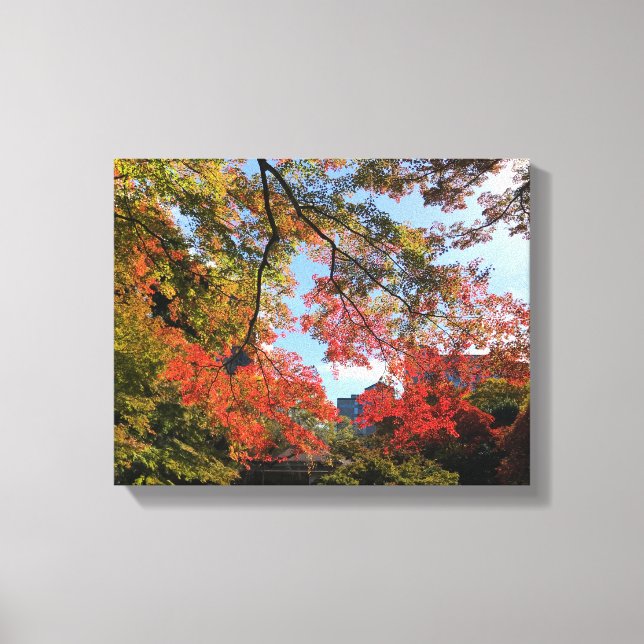 Lienzo Maples rojos en el jardín japonés (Anverso)