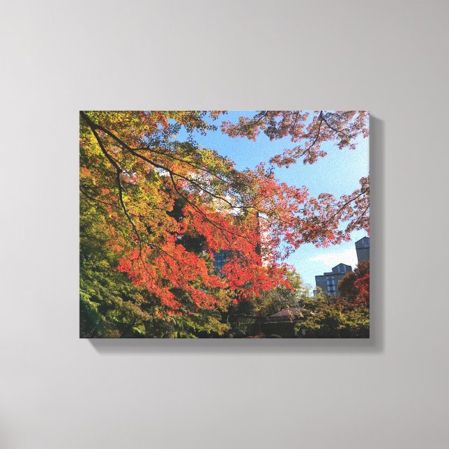 Lienzo Maples rojos en el jardín japonés (Anverso)