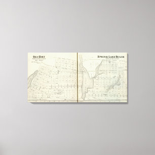 Lienzo Mar ceñido y playa del lago spring, el condado de