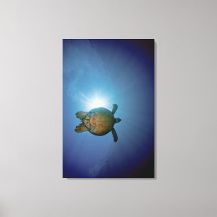 Lienzo Mar subacuático del Turtle  Andaman, Tailandia