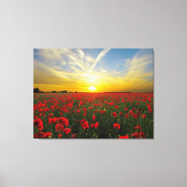 Lienzo Maravilloso Poppy Field Sunset Horizon (Anverso)