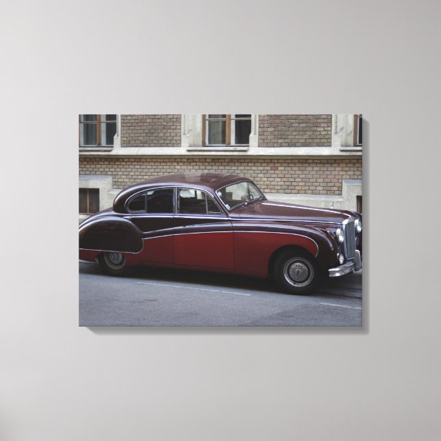 Lienzo Marca jaguar roja IX (Anverso)