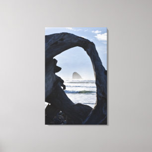 Lienzo Marco de madera de la deriva, cabo Mears