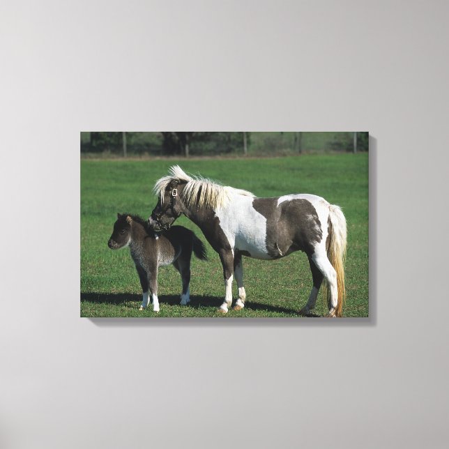 Lienzo Mare & Foal Standing en miniatura (Anverso)