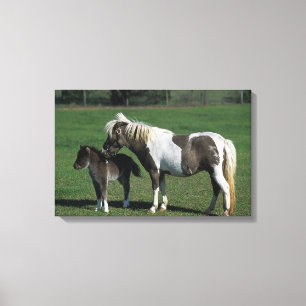 Lienzo Mare & Foal Standing en miniatura