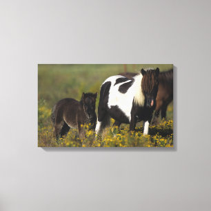 Lienzo Mare y pie en miniatura en las flores