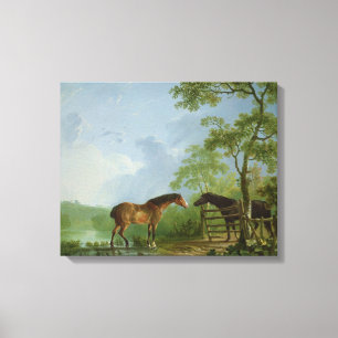 Lienzo Mare y Stallion en un paisaje