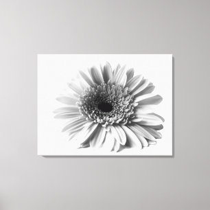Lienzo Margarita gerbera