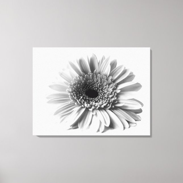 Lienzo Margarita gerbera (Anverso)