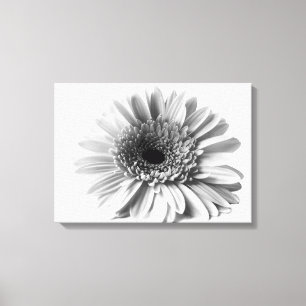 Lienzo Margarita Gerbera