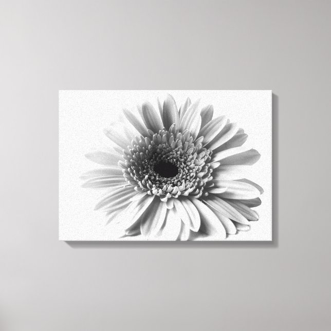 Lienzo Margarita Gerbera (Anverso)