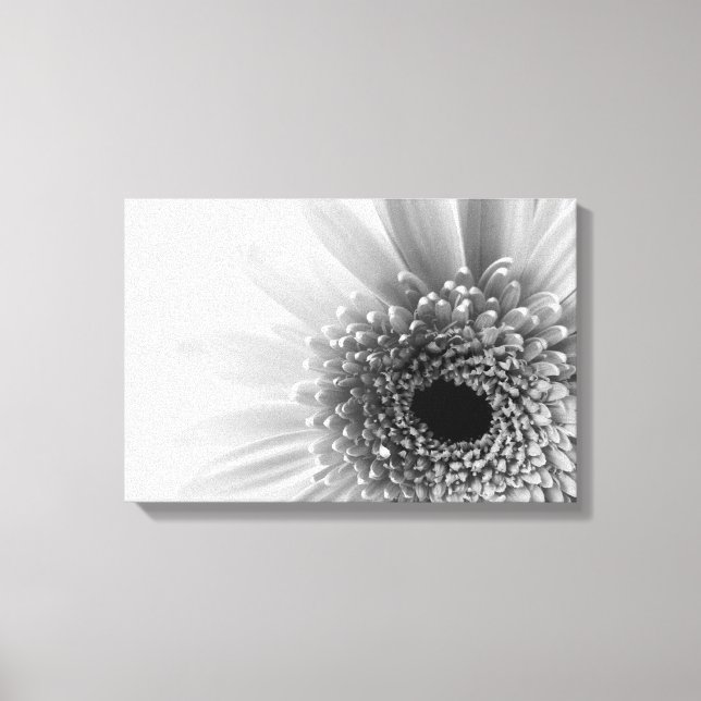 Lienzo Margarita Gerbera (Anverso)