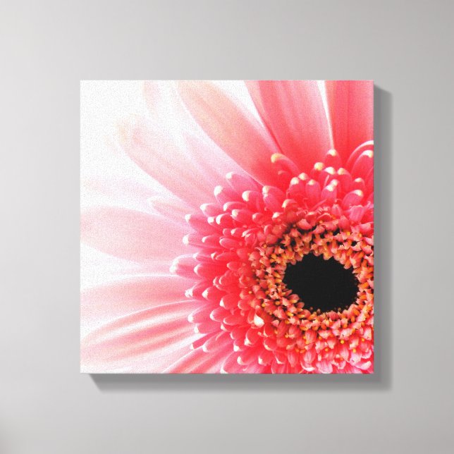 Lienzo Margarita Gerbera (Anverso)