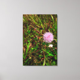 Lienzo Maria-fecha-a-porta