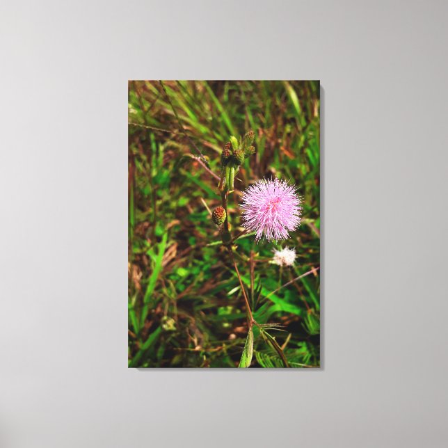 Lienzo Maria-fecha-a-porta (Anverso)