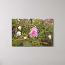 Lienzo Maria fecha a porta  - Campo