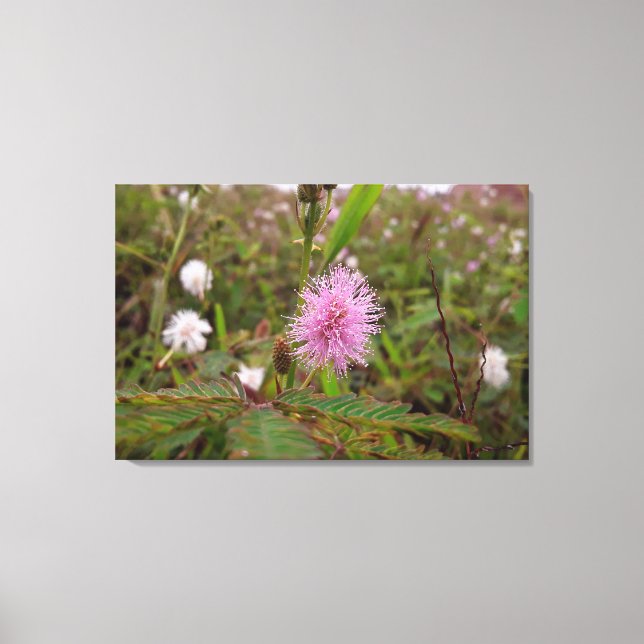 Lienzo Maria fecha a porta  - Campo (Anverso)