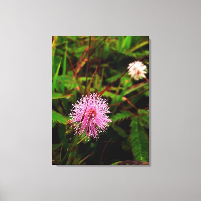 Lienzo Maria-fecha-a-porta lilas (Anverso)