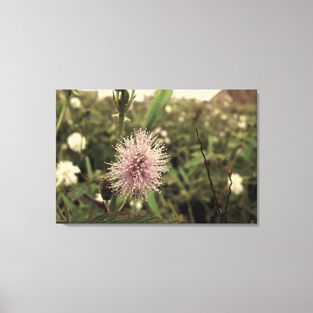 Lienzo Maria-fecha-a-porta - OLD (Anverso)