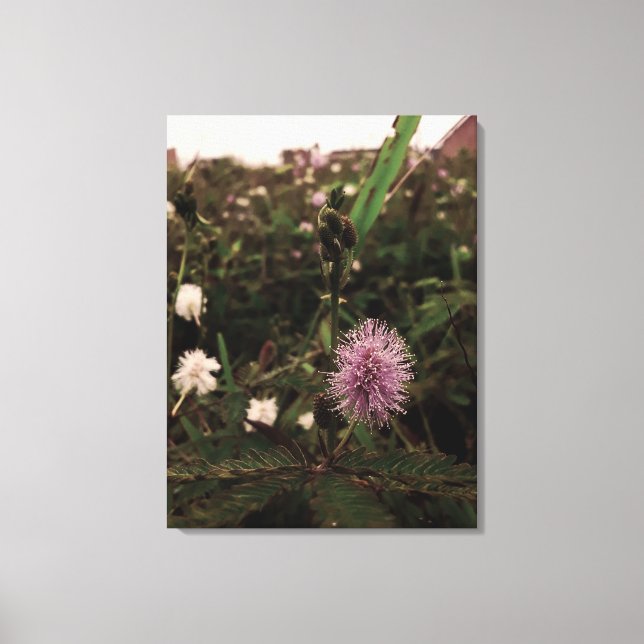 Lienzo Maria-fecha-a-porta - ROSA (Anverso)