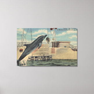Lienzo Marineland, Florida - Vista de Pudgy el