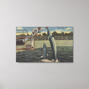 Lienzo Marineland, la Florida - opinión masopas de