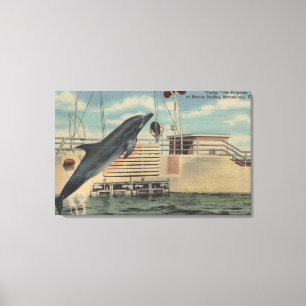 Lienzo Marineland, la Florida - vista del rechoncho