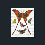 Lienzo Mariposa 2<br><div class="desc">Animales y Naturaleza</div>