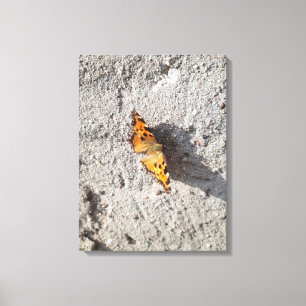 Lienzo Mariposa al sol