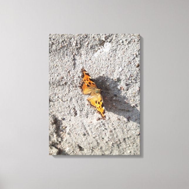 Lienzo Mariposa al sol (Anverso)