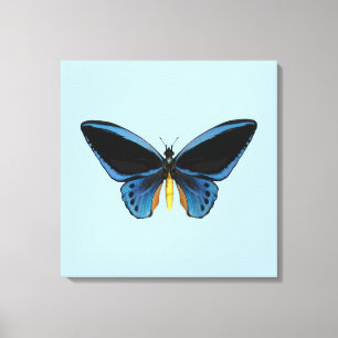 Lienzo Mariposa Ala de Pájaro