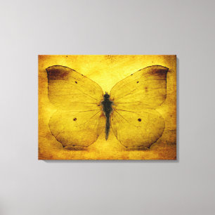 Lienzo Mariposa amarilla vintage